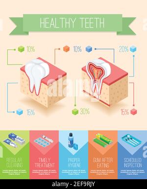 Dentist infographics with isometric sectional view of gums and teeth with images of dental care supplies vector illustration Stock Vector