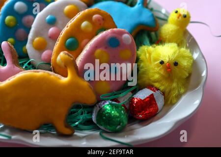 Close up of Easter cookies in the shape of rabbit and eggs with little chicken on the plate at home desk Stock Photo