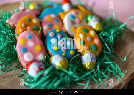 Sweet colorful cookies in the shape of eggs and rabbit on log and grass. Easter holiday concept food decoration Stock Photo