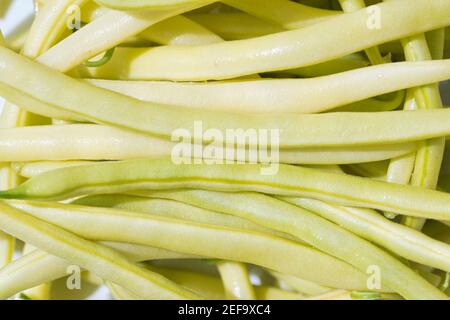 Yellow raw wax beans texture close up, a pile of freshly harvested ripe long pods on a gray wooden background Stock Photo