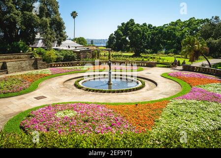 scenery of Royal Botanic Gardens in sydney, australia Stock Photo