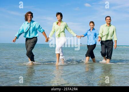 Two mid adult couples wading on the beach and holding hands of each other Stock Photo
