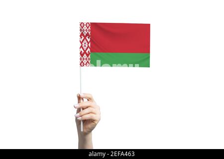 Beautiful female hand holding Belarus flag, isolated on white background. Stock Photo