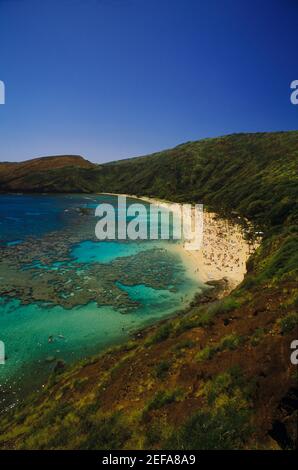 High angle view of tourists on the beach, Hawaii, USA Stock Photo