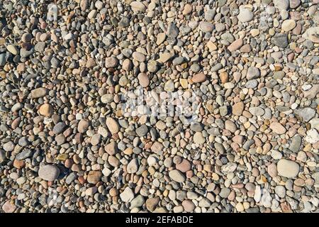 Many pebbles as a stone background structure on the beach Stock Photo