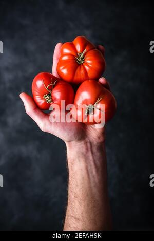 Hand holding fresh red tomatoes. View from above Stock Photo