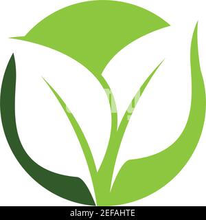 Logos of green leaf ecology nature element vector icon Stock Vector