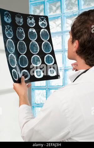 Male doctor examining an X Ray report Stock Photo