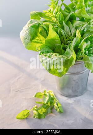 Green spinach leaves in a small metal bucket. Healthy vegan food concept. Close up. Vertical crop. Stock Photo