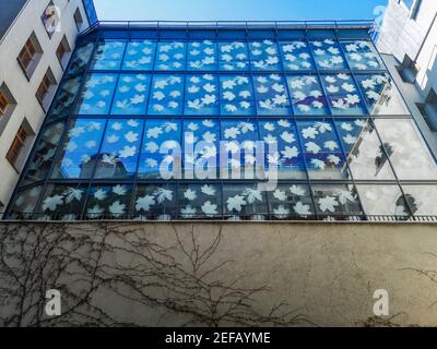 Wroclaw Poland April 16 2019 Upward look to Glass wall full of big white maple leafs Stock Photo