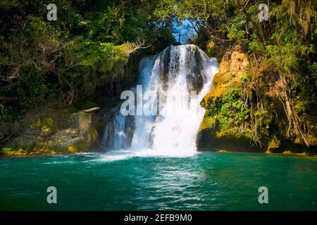 Waterfall in a forest, Tamasopo Waterfalls, Tamasopo, San luis Potosi, Mexico Stock Photo