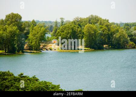 Trees at a lakeside, Bordeaux Lake, Bordeaux, Aquitaine, France Stock Photo