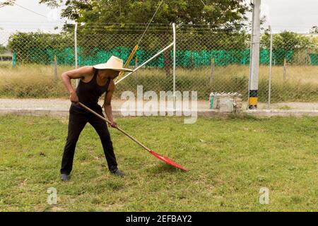 at home doing gardening taking care of plants Stock Photo