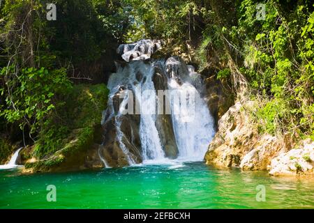 Waterfall in a forest, Tamasopo Waterfalls, Tamasopo, San luis Potosi, Mexico Stock Photo