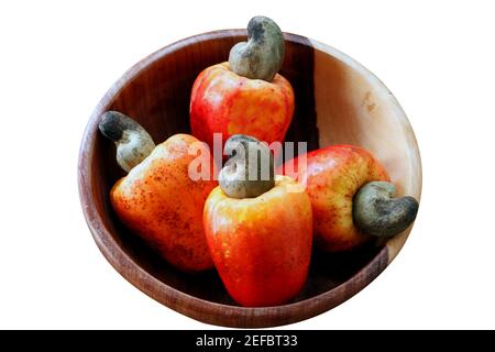 Cashew fresh originating from Para, Brazil Stock Photo