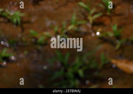 abstract background of reflections on ground Stock Photo