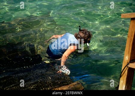 High angle view of a boy wearing a scuba immersed in water, Coral World, Nassau, Bahamas Stock Photo