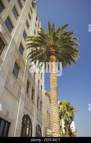 Low angle view of a building, Hollywood First National Building, Hollywood, Los Angeles, California, USA