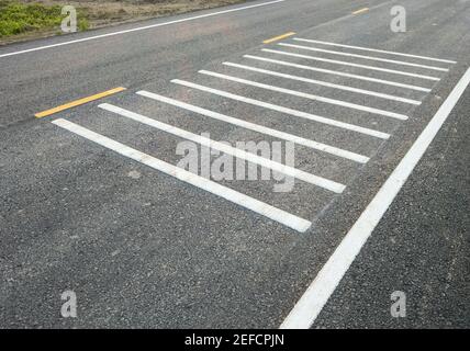 White transverse rumble strips on the asphalt road for causing a loud noise to alert the driver to be aware before reaching the intersection in the co Stock Photo
