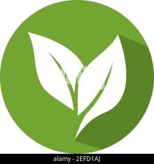 Logos of green leaf ecology nature element vector icon Stock Vector