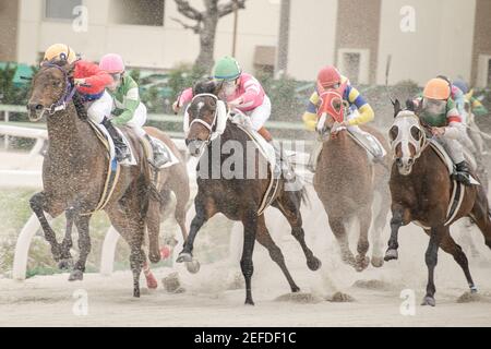 competitive horse racing in heavy sandstorm Stock Photo
