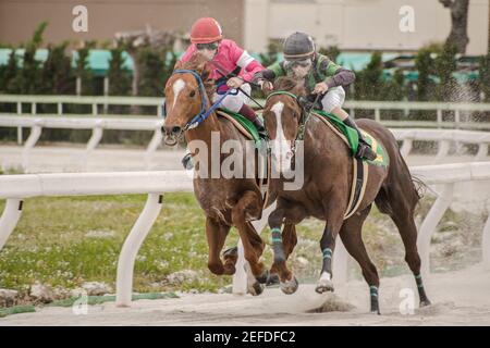 competitive horse racing in heavy sandstorm. Stock Photo