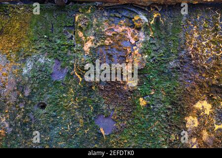 Texture background. template. Antique iron covered with rust and lichen moss. Rusty surface of an iron sheet. Stock Photo