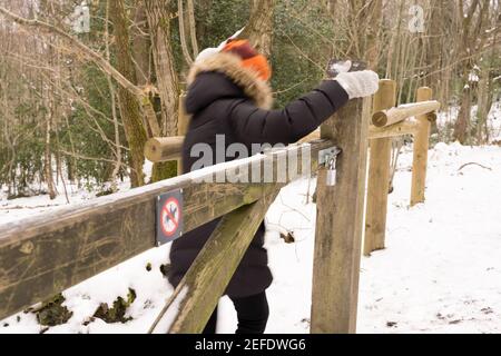 woman dress in thick winter coats and hat opens the gate hiking in snowy winter day, woodland , Kent Stock Photo