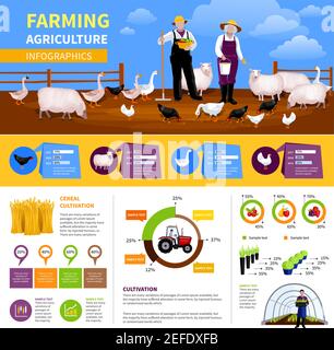 Farming flat infographics with information and charts about livestock and poultry, agricultural vehicle, vegetables cultivation vector illustration Stock Vector