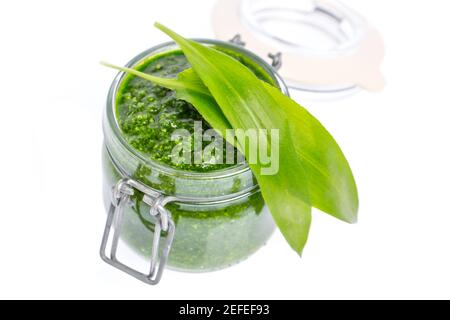 wild garlic (Allium ursinum) isolated on white background Stock Photo