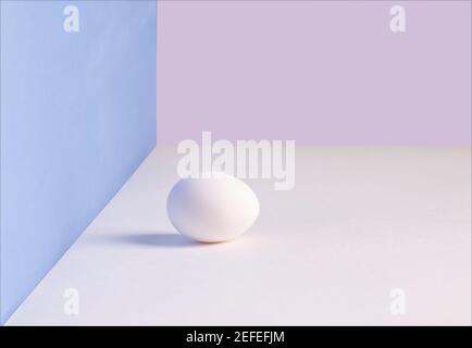 White single egg. Chicken egg with soft shadows on white table. pink, blue background. Template for Easter holiday. Stock Photo