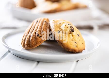 Madeleine with chocolate. Traditional French small cakes on plate. Stock Photo