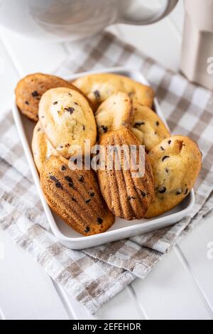 Madeleine with chocolate. Traditional French small cakes on plate. Stock Photo