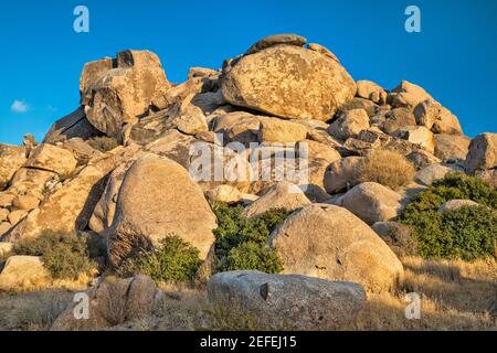 Granite rock formations, Wild Horse Canyon Road, near Mid Hills Campground, Mojave National Preserve, California, USA Stock Photo