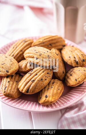Madeleine with chocolate. Traditional French small cakes on plate. Stock Photo