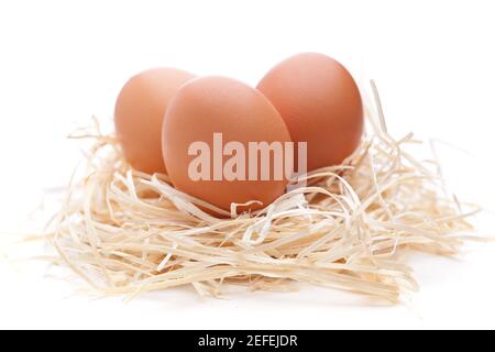 Eggs in a nest isolated on white background Stock Photo
