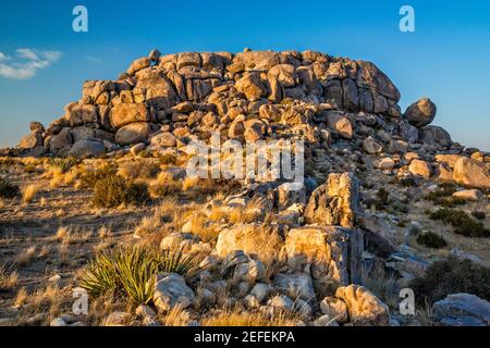 Granite rock formations, Wild Horse Canyon Road, near Mid Hills Campground, Mojave National Preserve, California, USA Stock Photo