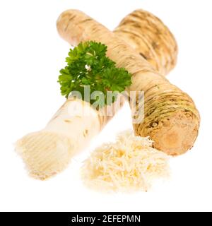 Two roots of horse radish isolated on white background Stock Photo
