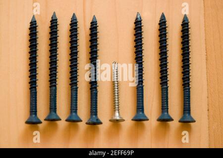 Close-up of screws arranged in a row Stock Photo