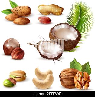 Nuts realistic set with hazelnut, peanut, cashew, walnut, pistachio, coconut, almond and green leaves isolated vector illustration Stock Vector