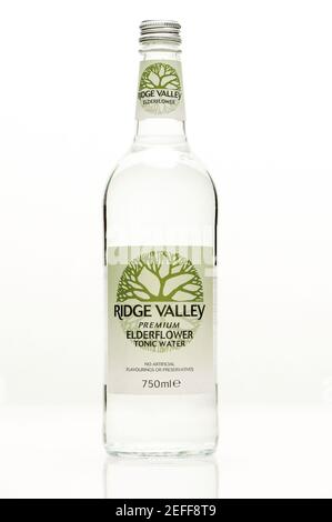 Ridge Valley elderflower tonic water on a white background with reflection. Stock Photo