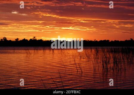 Sunset over the swamp, Okavango Delta, Botswana Stock Photo