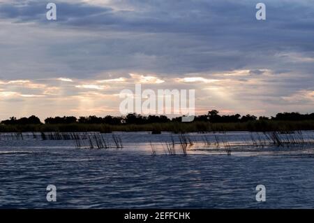 Clouds over a swamp, Okavango Delta, Botswana Stock Photo