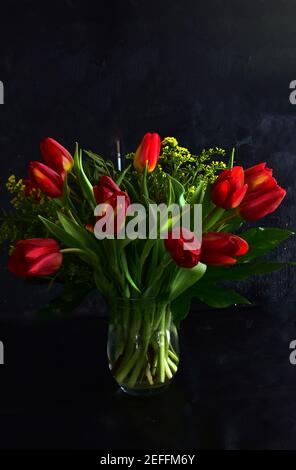 Picture of red tulips on a spell background, beautiful floral bouquet. Stock Photo
