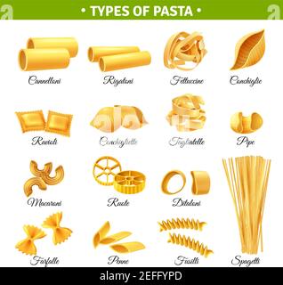 Realistic traditional italian pasta types vector set. Illustration of ...