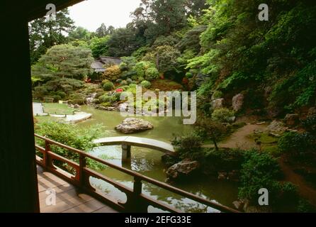 Pond in a garden, Shoren-in Temple, Kyoto, Japan Stock Photo