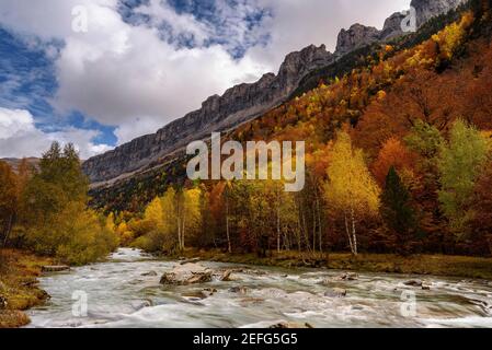 Arazas river in autumn (Ordesa and Monte Perdido NP, Spain, Pyrenees) ESP: Río Arazas en otoño en Ordesa (PN Ordesa y Monte Perdido, Aragón, España) Stock Photo