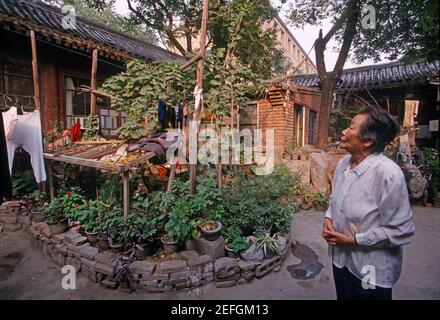 Former residence of Lu Xun and his younger brother Zhou Zuoren , Zhou Jianren in No.11 Badaowan, Beijing, China. The photo was taken around 2000. Stock Photo