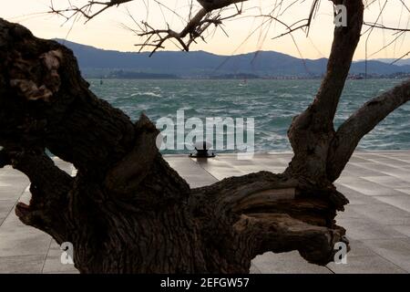 Rusty iron bollard on the waters edge in the bay of Santander Cantabria Spain on a windy winter morning with rough sea seen through tree branches Stock Photo