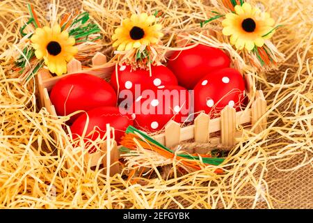 Easter red eggs in wooden box and flowers on brown burlap background. Stock Photo